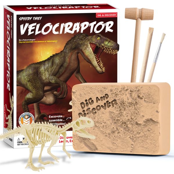 Kids Dinosaur Fossil Digging Kit, Dig Up Dinosaurs Skeleton Set, Dino Fossil