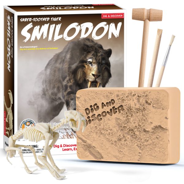Smilodon Saber-Toothed Tiger Dig Kit for Kids - STEM Paleontology Toy, Excavate & Assemble Skeleton