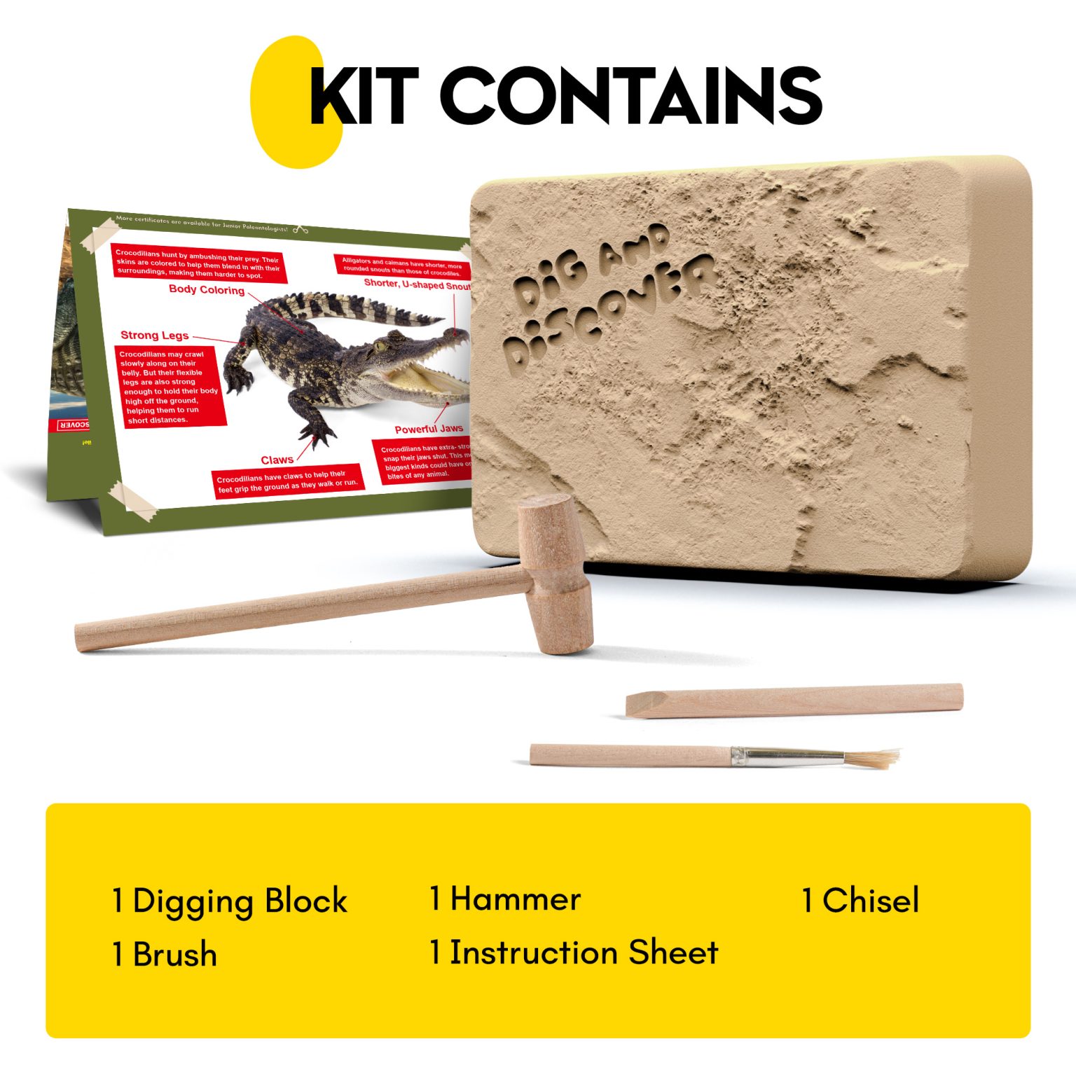 Crocodile excavation kit contents with digging block, hammer, chisel, brush, and illustrated instruction sheet