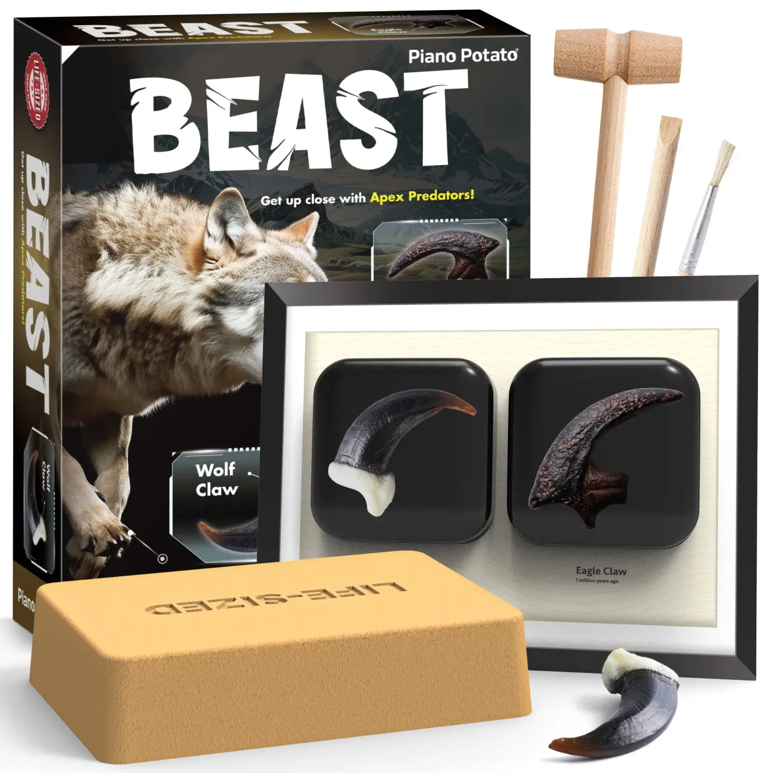 Beast Fossil Dig Kit with life-size eagle and wolf claw replicas