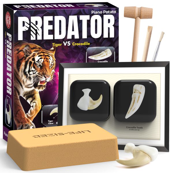 Predator Fossil Dig Kit - Excavate 2 Life-Sized Tiger & Crocodile Fossils, Kids STEM Toy