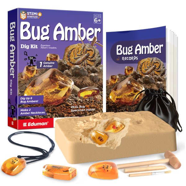 Amber Dig Kit - 6 Artificial Insect Resin Specimens, Bugs Fossil Excavation Set with Natural Amber