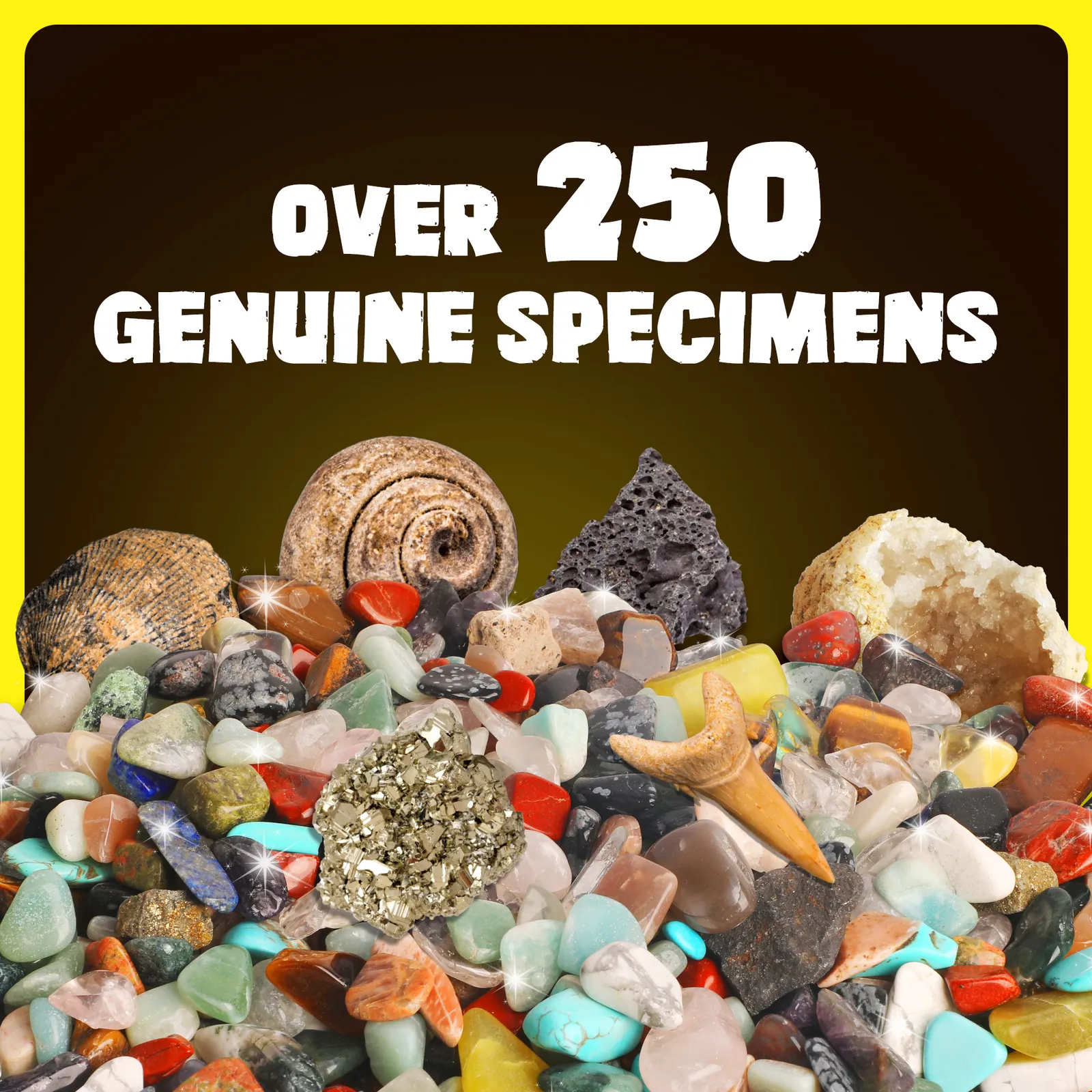 250 Stones Set with Different Gemstones, Fossils, Crystals, Minerals, Geodes for Children, Gemstone Collection - Image 3