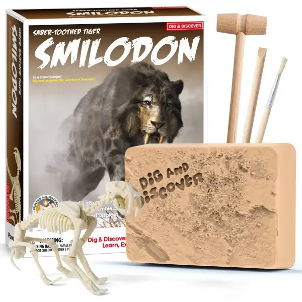 Smilodon Saber-Toothed Tiger Dig Kit for Kids - STEM Paleontology Toy, Excavate & Assemble Skeleton