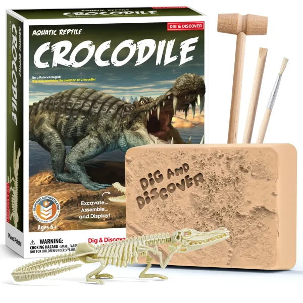 Crocodile Skeleton Excavation Kit for Kids – Dig, Assemble & Display (Ages 6+)