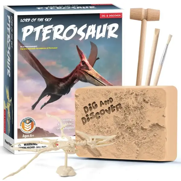 Pterosaur Skeleton Dig Kit – Excavate, Assemble & Display (Ages 6+)