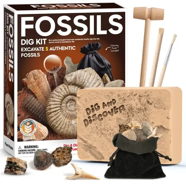 Fossil Dig Kit – 5 Real Fossils, Digging Tools & Collecting Pouch