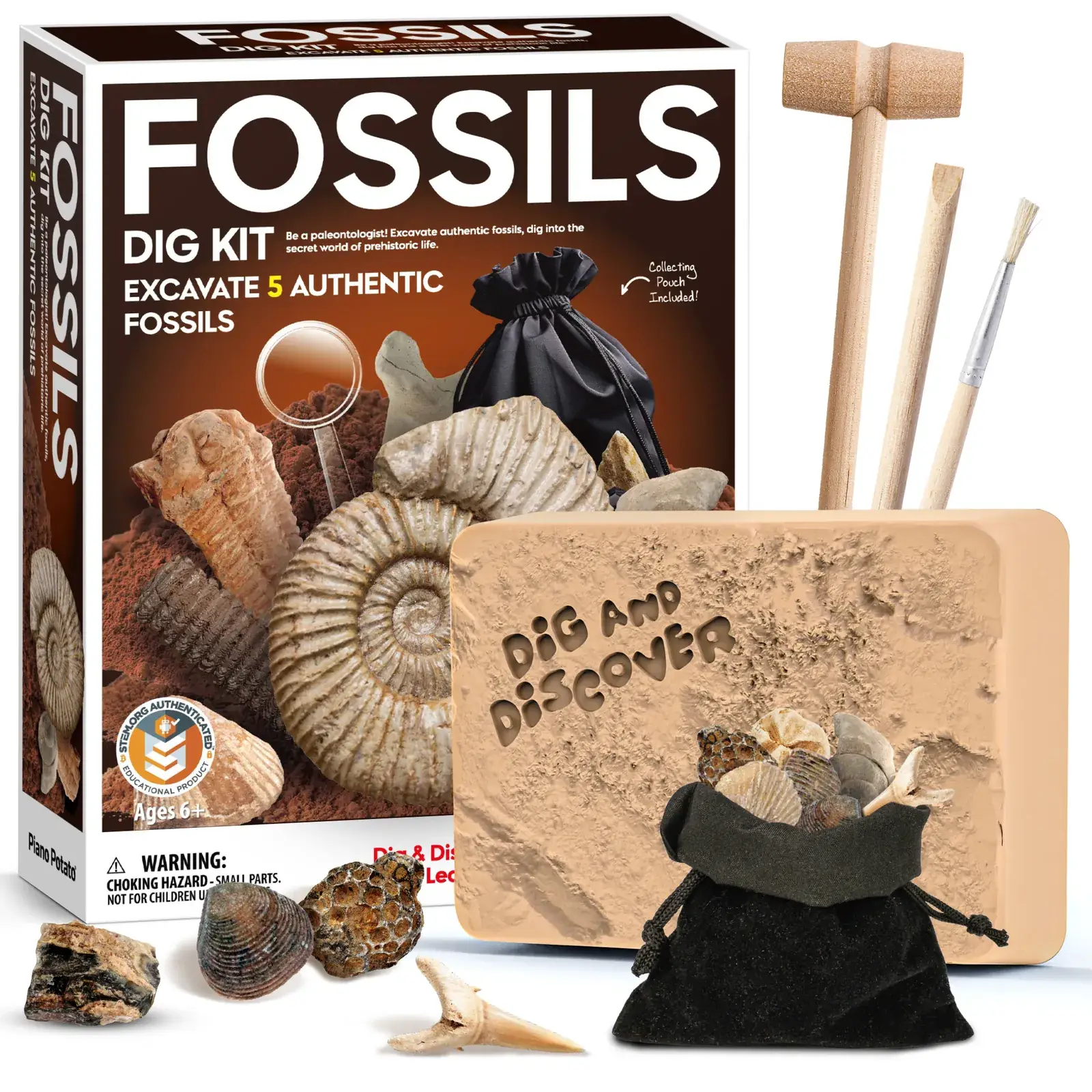 Fossil Dig Kit packaging and contents