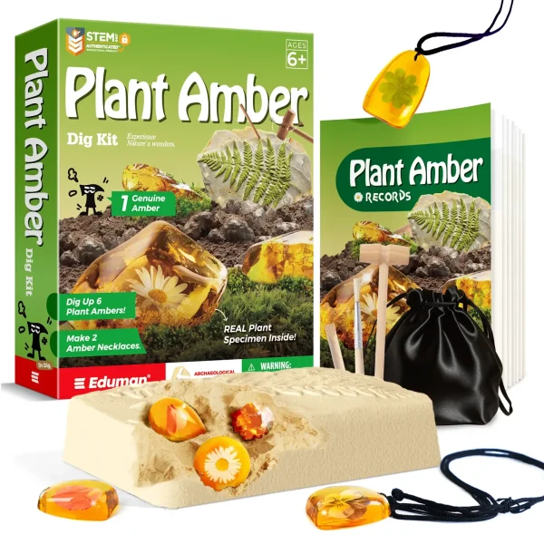Amber Dig Kit, 6 Artificial Plant Resin Specimens, Fun Fossil Dig Up Kit