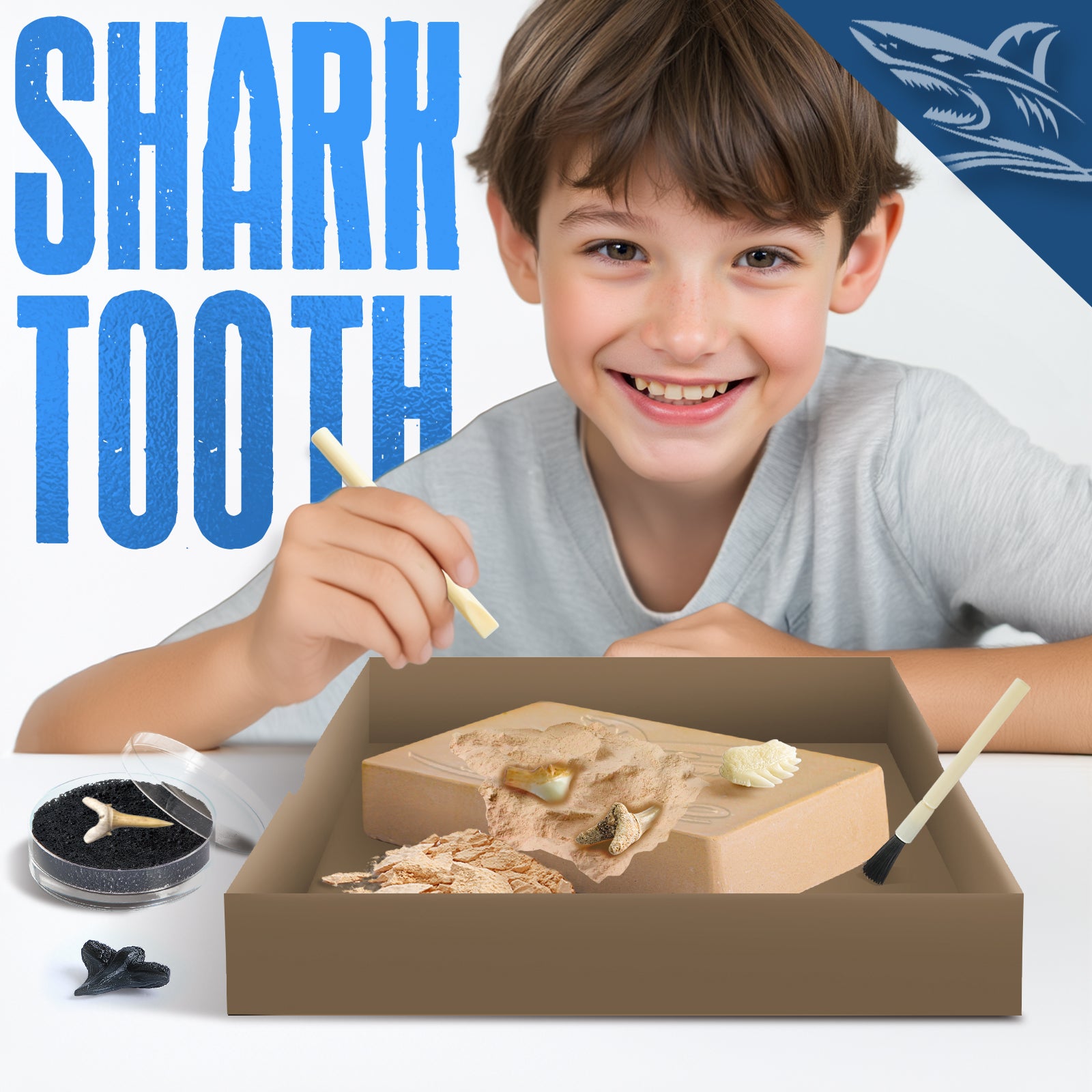 EGGBOX Shark Tooth Dig Kit Excavate 8 Shark Fossils Including Great White, Angel, Bullhead, Longnose, Sand Tiger Shark and so on. Great Science Gift for Marine Biology Enthusiasts of Any Age - Image 3