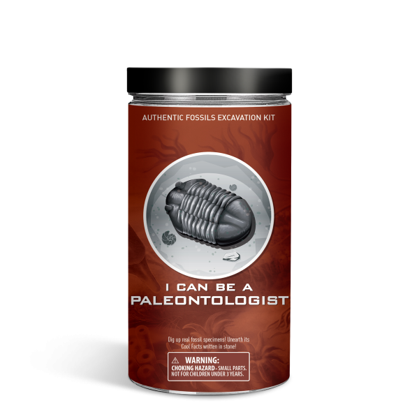 Piano Potato I Can Be a Paleontologist – Authentic Fossils Excavation Kit