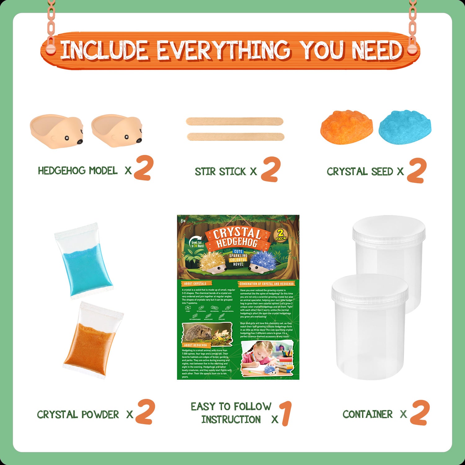Crystal Growing Kit - 2 Vibrant Hedgehogs Fast 24H, STEM Gift for Kids 6-12 - Image 7