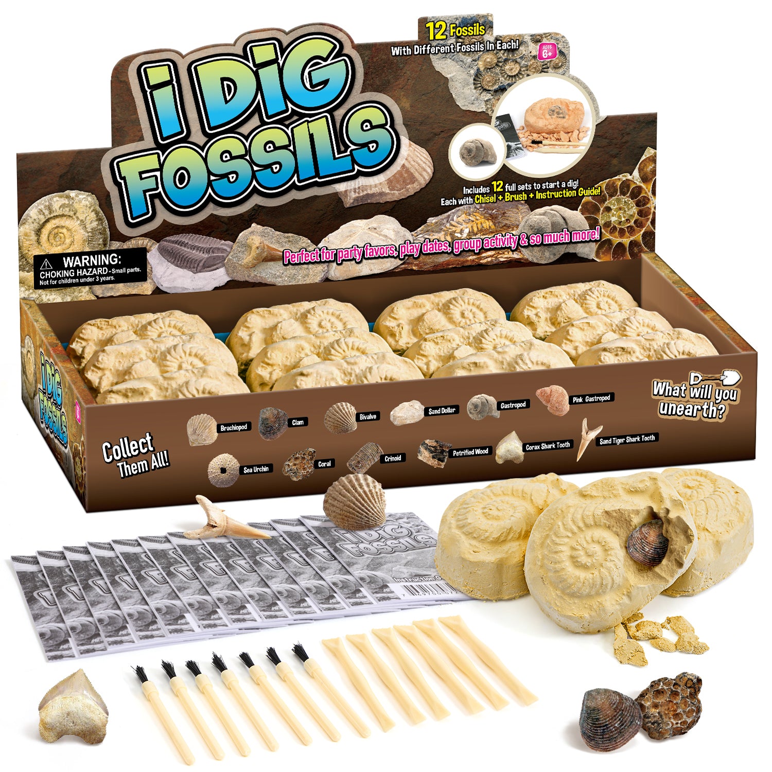 Gamerside Fossil Digging Kit, 12 Real Fossils & Dino Bones & Mess-Free Mat - Image 3