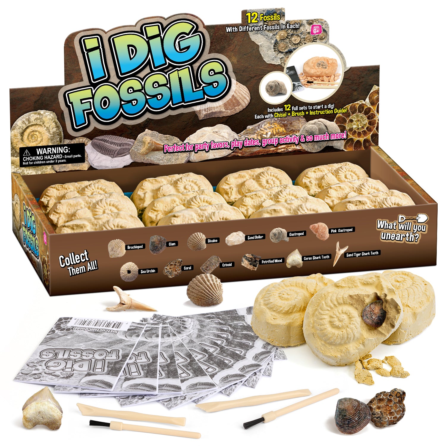 Gamerside Fossil Digging Kit, 12 Real Fossils & Dino Bones & Mess-Free Mat - Image 2