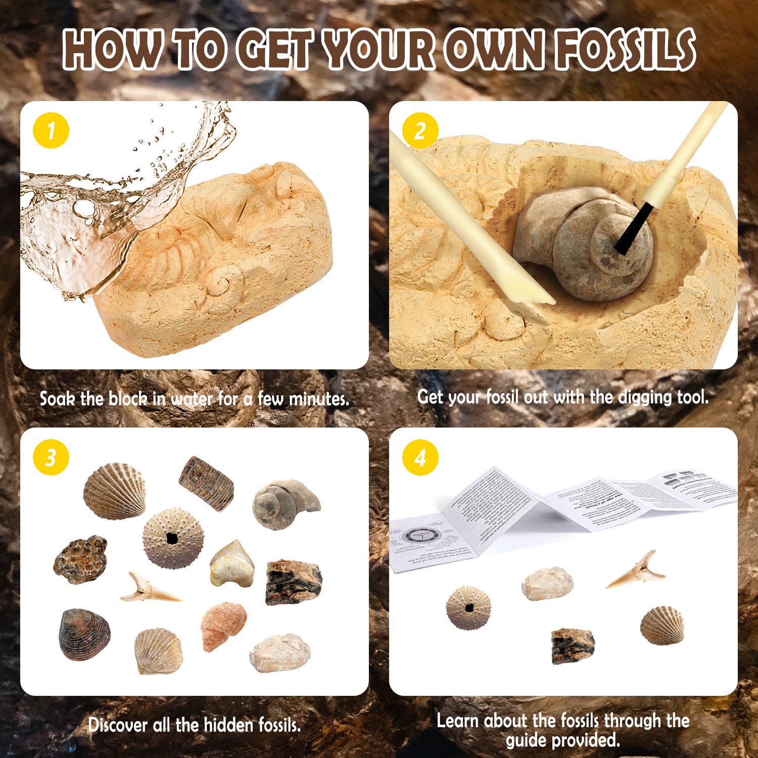 Gamerside Fossil Digging Kit, 12 Real Fossils & Dino Bones & Mess-Free Mat - Image 8