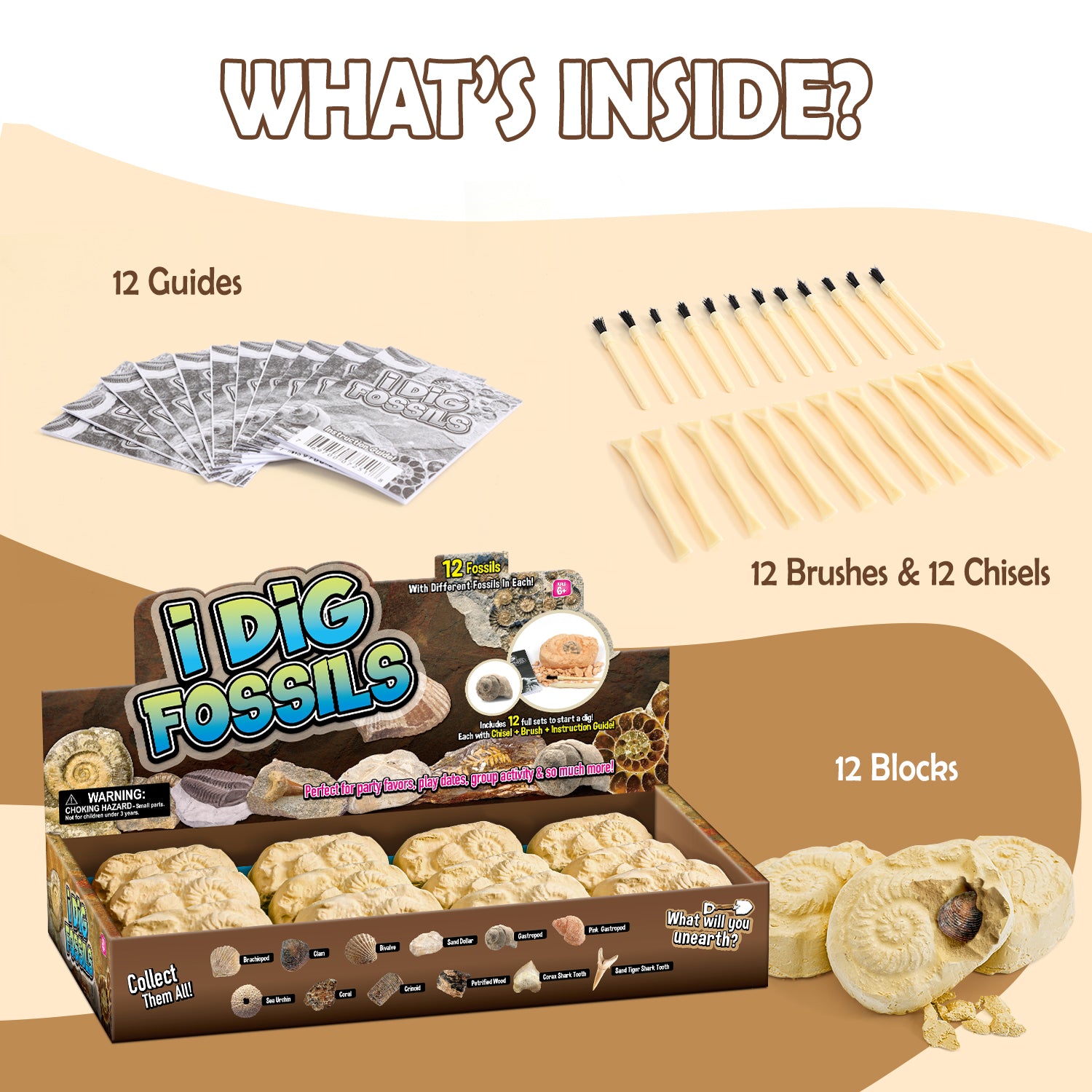 Gamerside Fossil Digging Kit, 12 Real Fossils & Dino Bones & Mess-Free Mat - Image 9