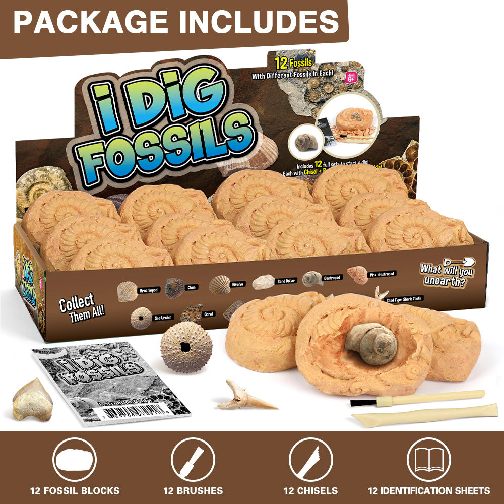 Gamerside Fossil Digging Kit, 12 Real Fossils & Dino Bones & Mess-Free Mat - Image 10