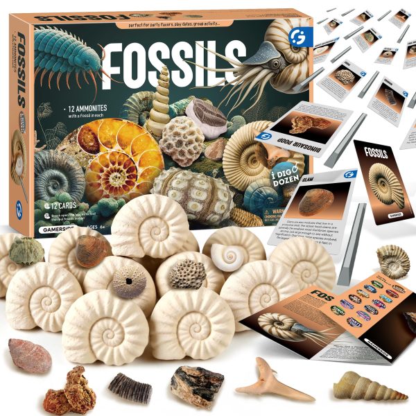 Rocks & Minerals Dig Kit - 12 Pack Real Gemstone Excavation Bricks, Crystals, Pyrite, Amethyst Archeology Digging Toys, STEM Educational Gift Box Party Favors for Kids Boys Girls Age 6+