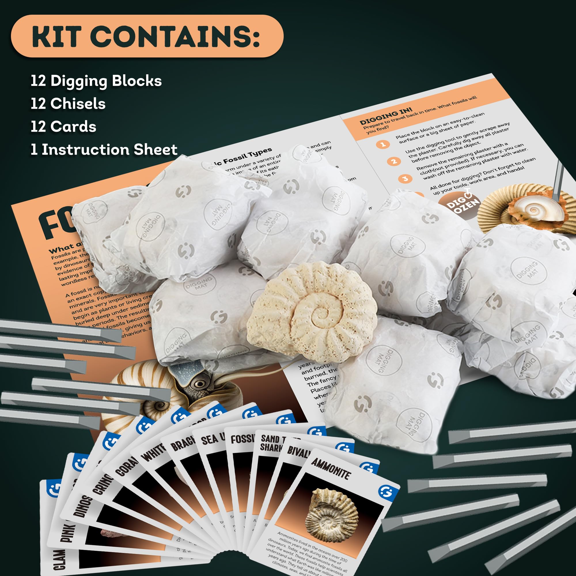 Rocks & Minerals Dig Kit - 12 Pack Real Gemstone Excavation Bricks, Crystals, Pyrite, Amethyst Archeology Digging Toys, STEM Educational Gift Box Party Favors for Kids Boys Girls Age 6+ - Image 3